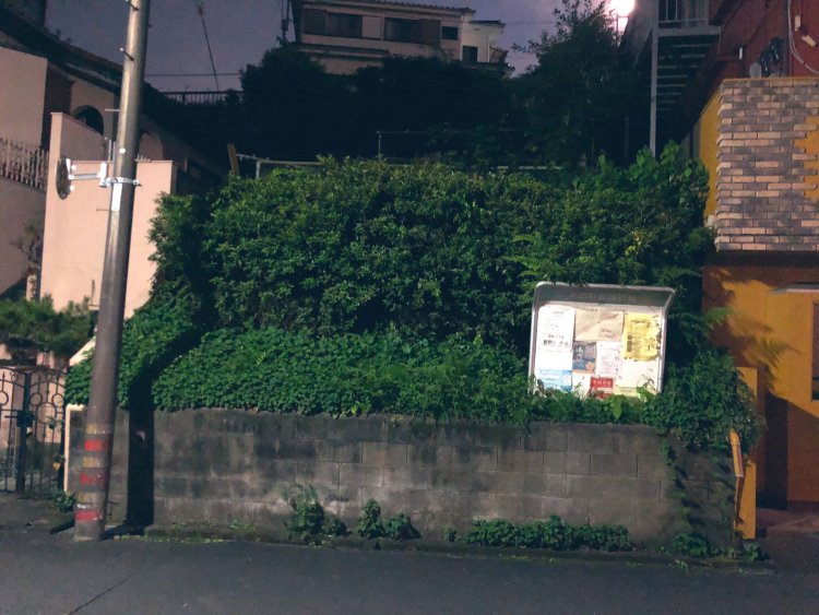 2020年の様子。宣伝看板類は一切なくなり、草で覆われてしまった。