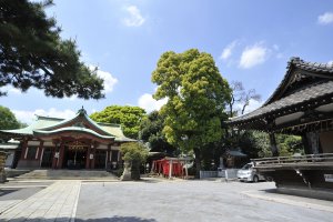 09_品川神社 (3)