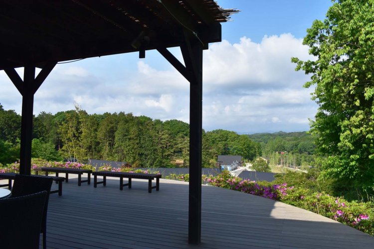 展望テラスからは周囲の森や遠望する山並みなど、自然景観を楽しめる。