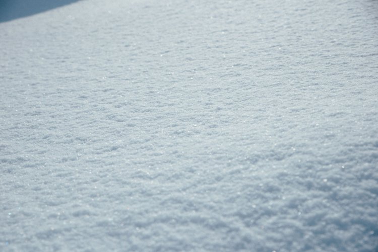 カメラガールズ