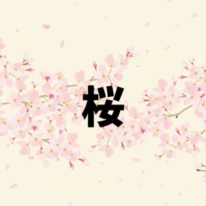 「桜」は「咲く」ものの代表選手！？ 潔く散るさまも人の心をつかむ日本の花、その名前の秘密