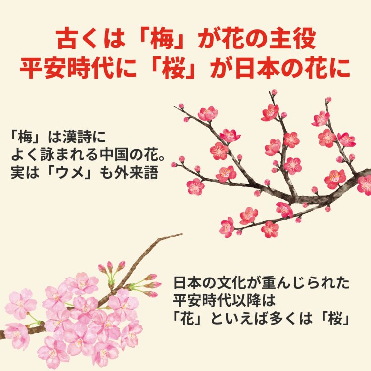 4コマことば図鑑