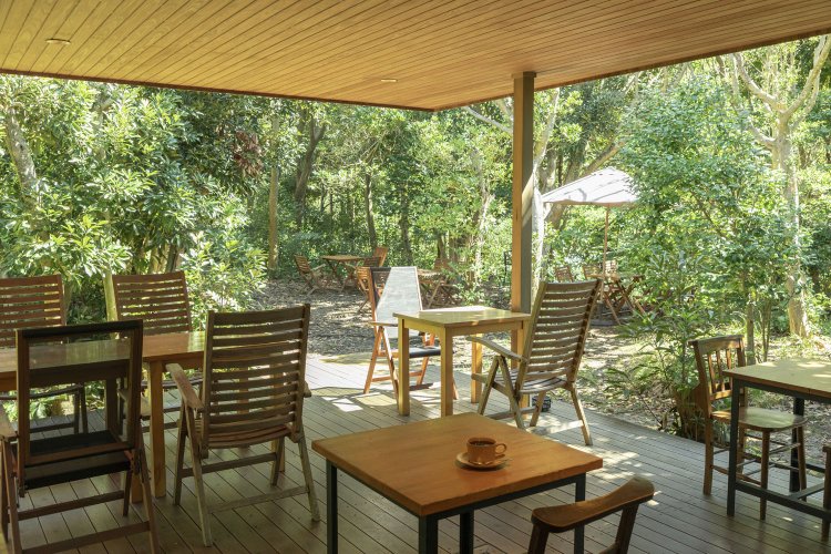 シイ類の森に囲まれたカフェ。アクセスの最後の数百メートルは非常に細いので、道端の案内板を頼りに！