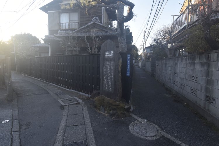 若宮大路幕府跡。こうした風景が、最も鎌倉らしさを感じさせる。
