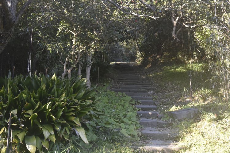 法華堂跡に続く石段は緩急２つある。下りは緩い勾配の方を選ぶ。