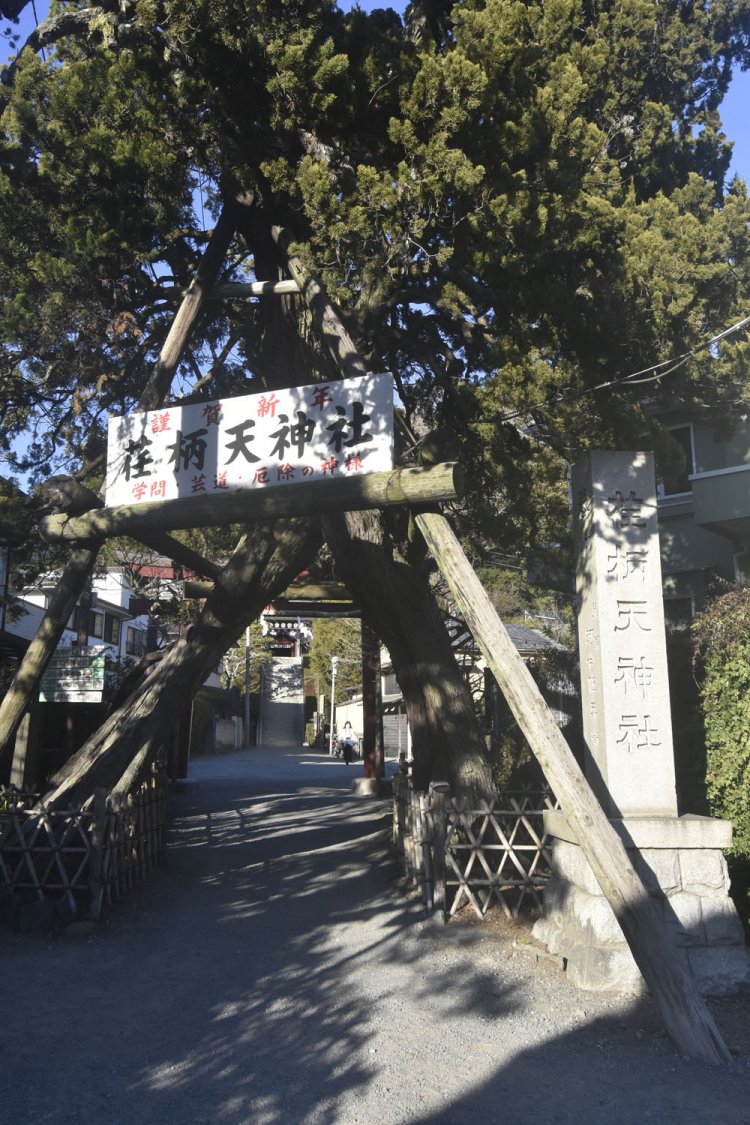 松の大木が鳥居のようになっている荏柄天神社。