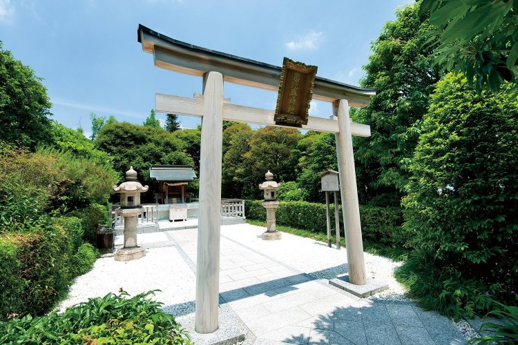 駅からハイキング2203 (9)