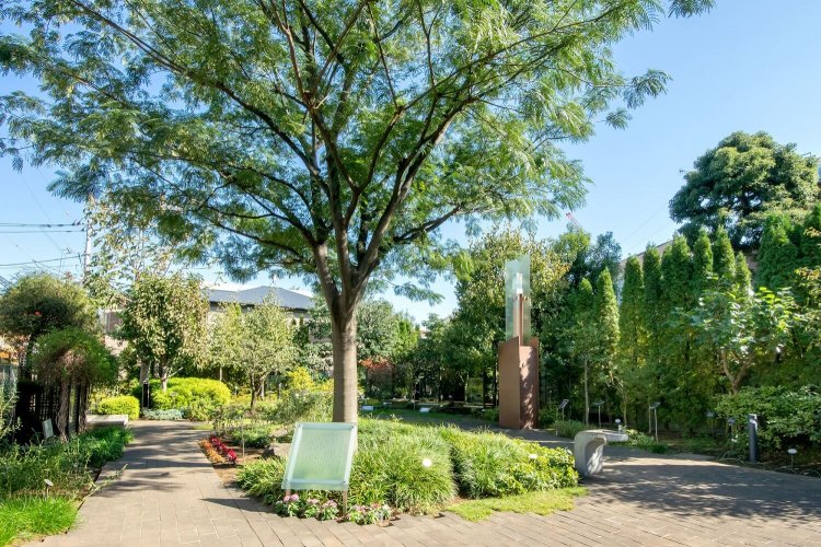 駅からハイキング2203 (12)