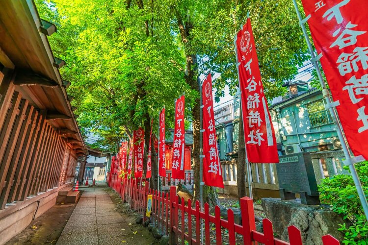 駅からハイキング2203 (13)