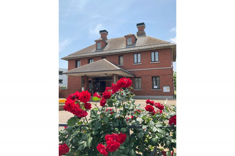 駅からハイキング2203 (1)