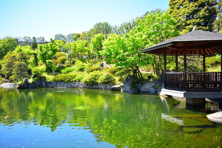 駅からハイキング2203 (5)