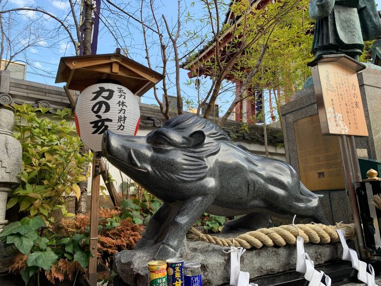 摩利支天徳大寺猪