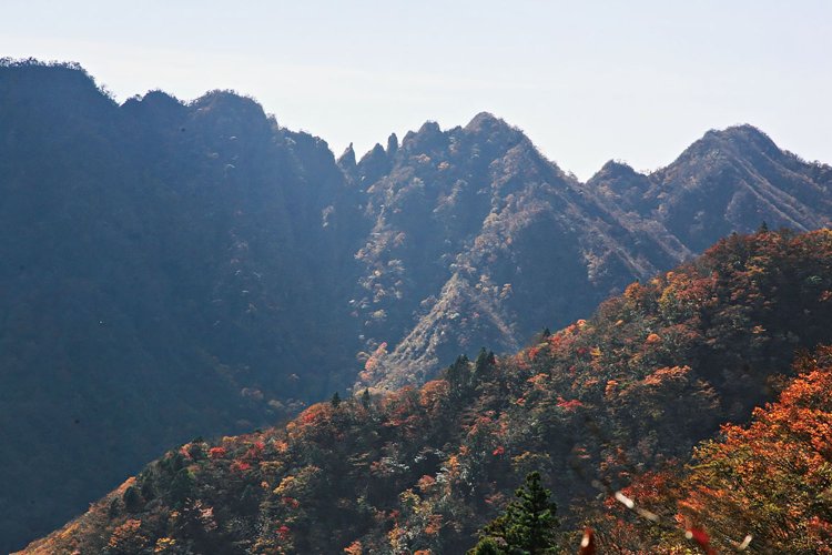 鋸岳展望台から鋸岳を望む。この鋸の歯のようなところに登山道が通っている。通行不可になっているが、行く人はいるようだ。