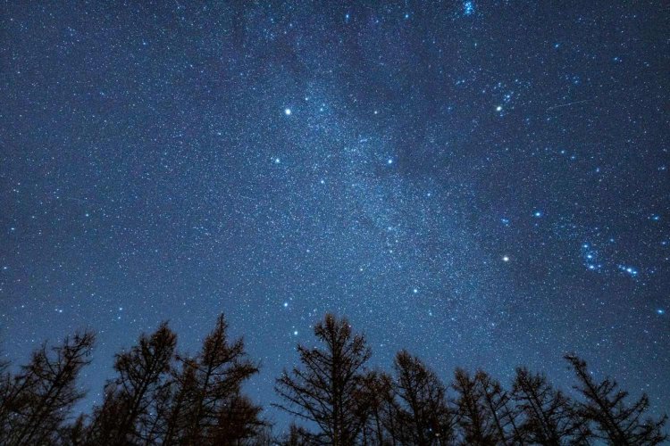 Sony a7RⅢ / Sony FE 20mm F1.8 G