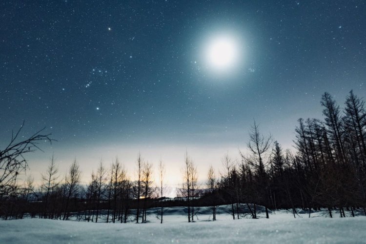 Sony a7RⅢ / Sony FE 20mm F1.8 G