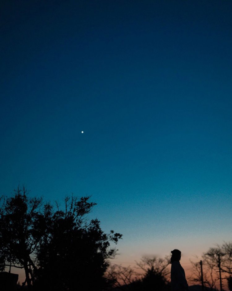 Sony a7RⅢ / Sony FE 50mm F1.2 GM