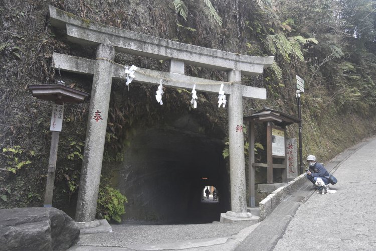 銭洗弁財天宇賀福神社への入り口の洞窟。
