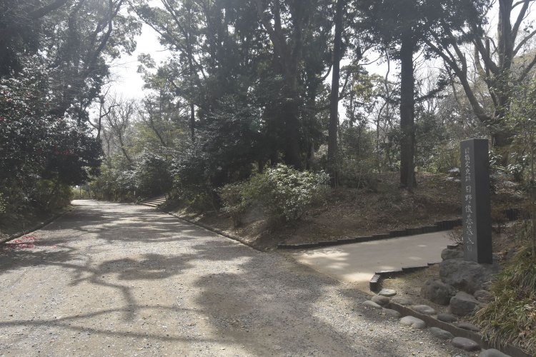 源氏山の山頂付近は、山の上とは思えないほど広々としている。