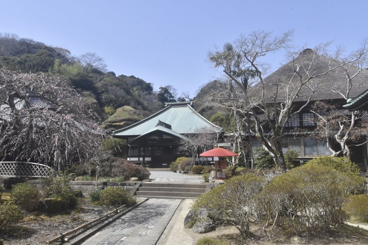 四季折々、美しい景色を醸し出す海蔵寺。