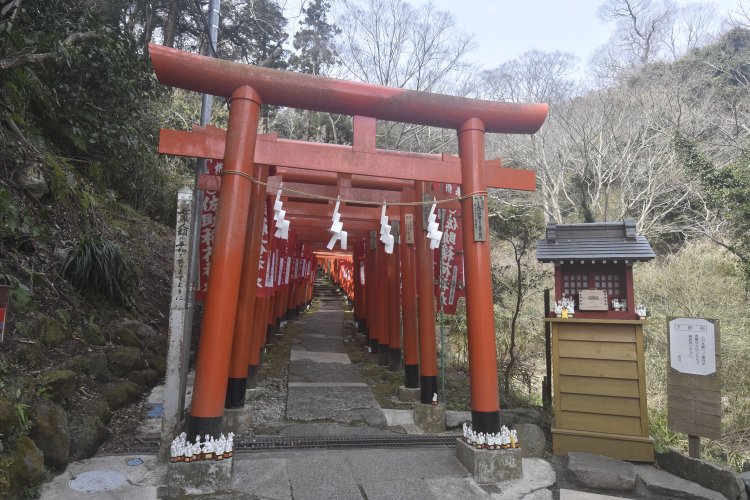 赤い鳥居が山の斜面に立ち並ぶ佐助稲荷。
