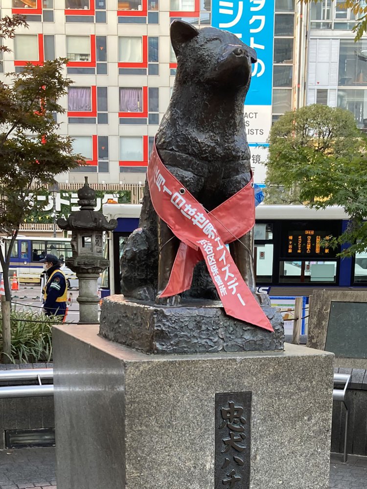 2020年12月撮影。通常のタスキ掛けと異なるのは、象徴である「レッドリボン」形にしているためと思われる。