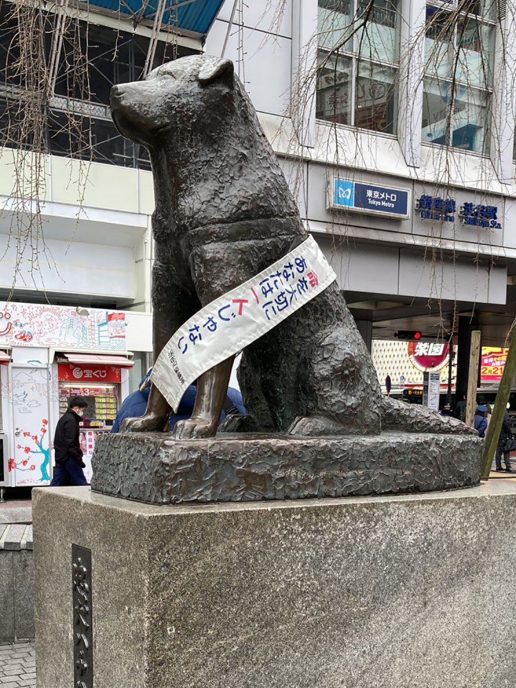 2022年3月撮影。3月も「自殺対策強化月間」のため、再びこのタスキが掛けられている。