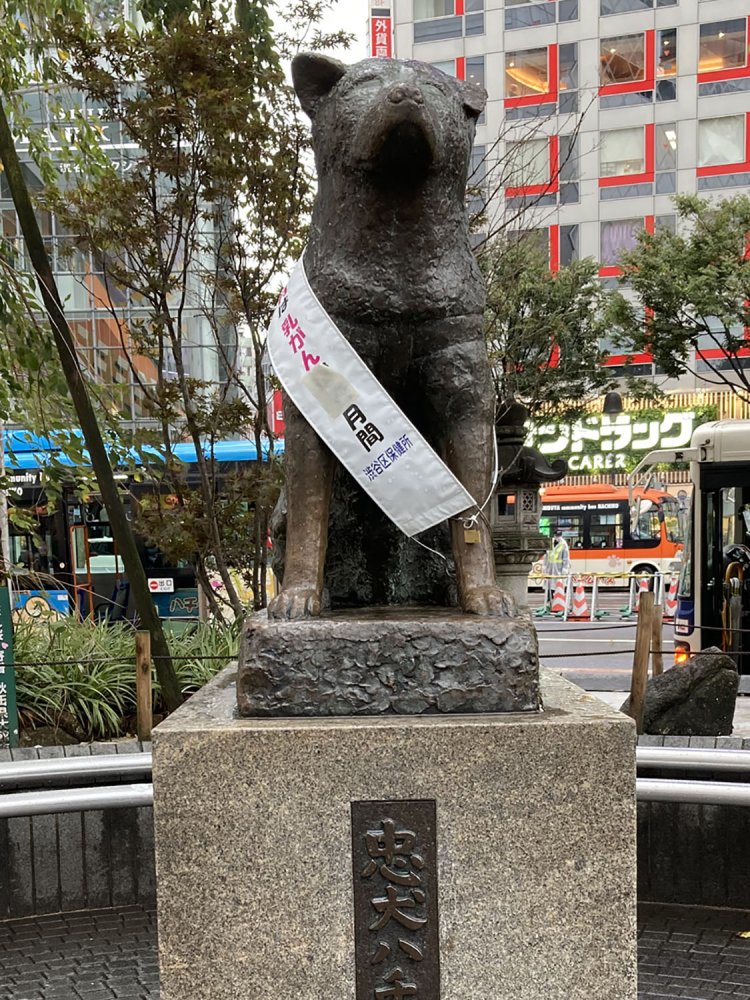 2020年10月撮影。タスキはどれも渋谷区保健所が掛けているもののようだ。