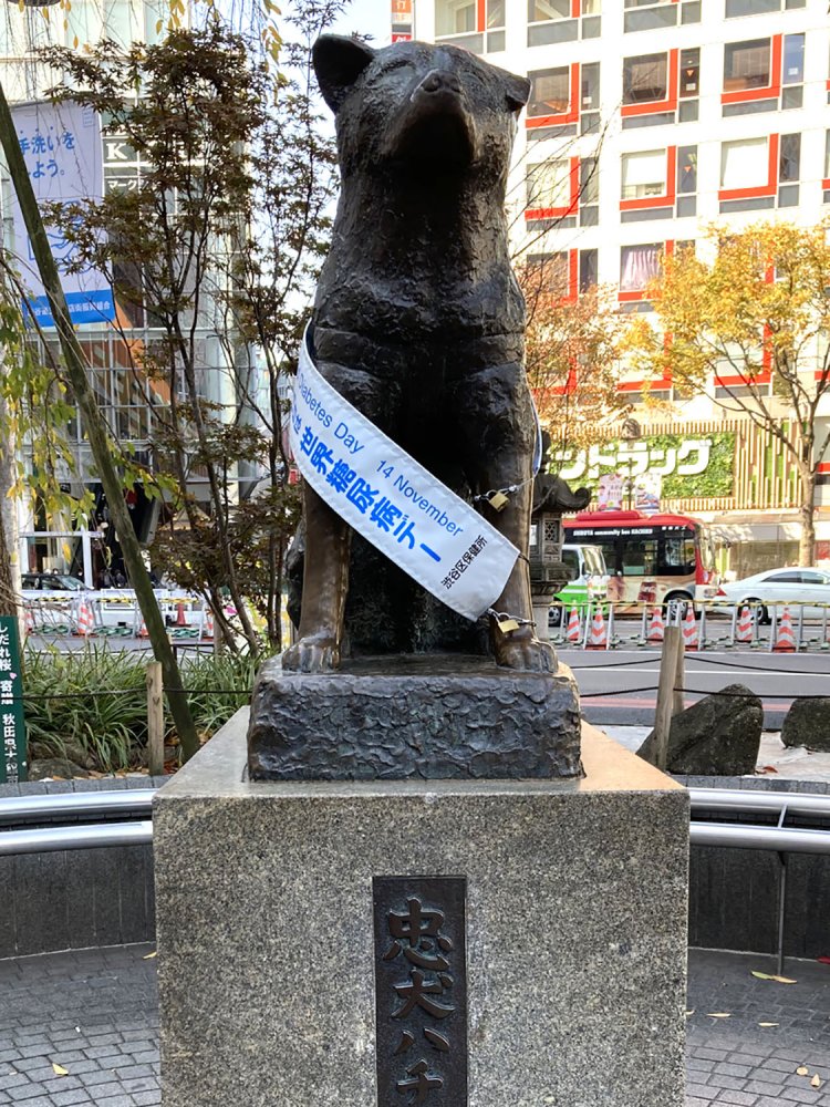 2020年11月撮影。世界糖尿病デーの存在を、このタスキを見て初めて知った。