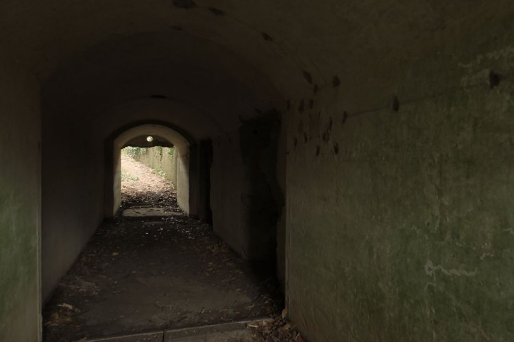 内部はご覧のように薄暗い。入っていいのか躊躇するがここはOKとのこと。段差や虫など不意打ちがあるやもしれないから足元や頭上に注意。