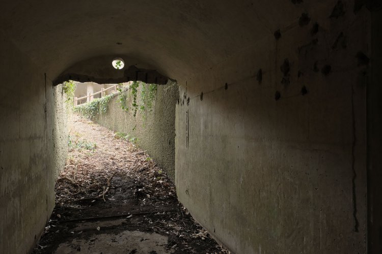 内部から展望台のほうを見る。緩いカーブのスロープとなっていた。