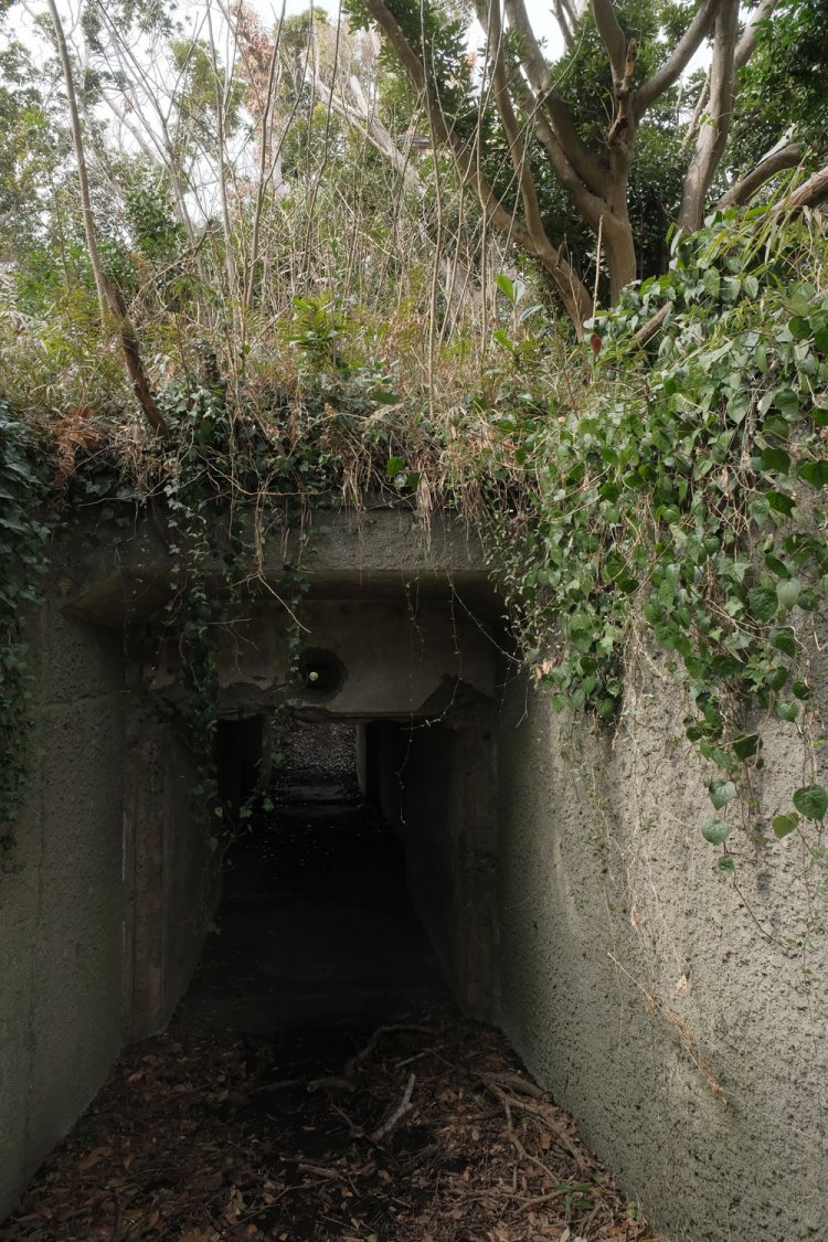 展望台側から。上部はご覧のように木々が茂っており遠目からだと弾薬庫だと分からない。