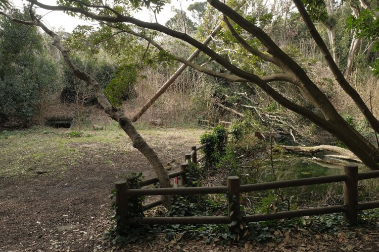 変哲のない池のほとり。左手をよくご覧いただきたい。お分かりだろうか……。