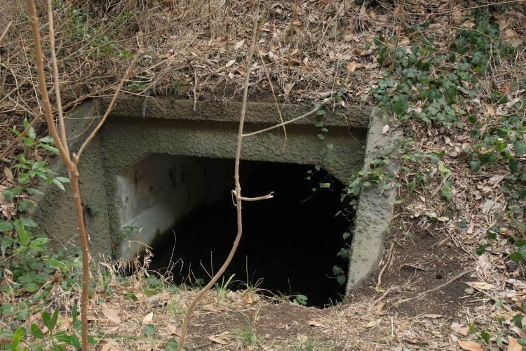 人知れず水に浸かった状態で斜面に佇んでいる火薬庫の遺構。内部は先ほどの弾薬庫のように小部屋があるとみた。その小部屋はモーリー池のほうへ繋がっていて、水がここにもきたのではないか？