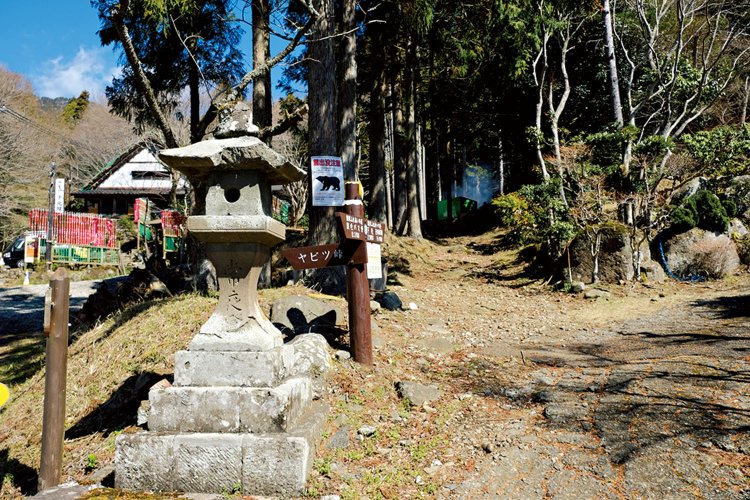 春岳沢沿いの道を上がると蓑毛越の道に入る分岐。右へ。