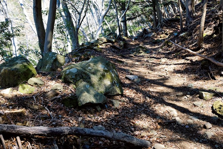 蓑毛越への道は裏参道といわれた。参道だったので道幅が広い。