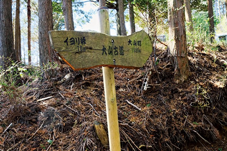 大山古道の道標が立っていた。