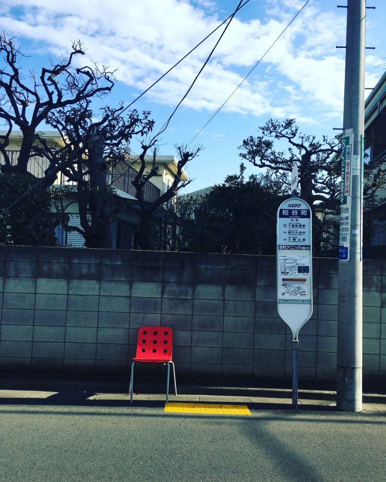 存在感のあるおしゃれな野良イス。