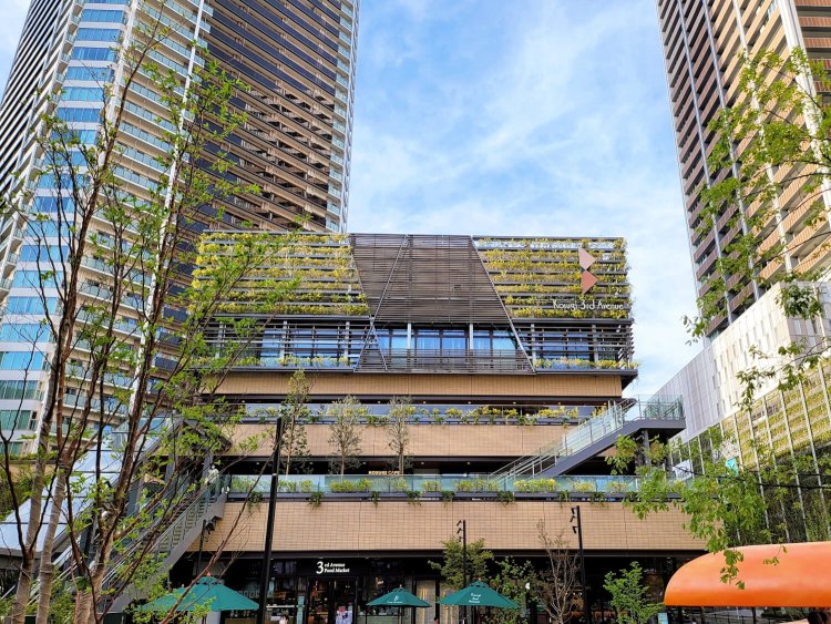 KOSUGI CAFE nappa69_2