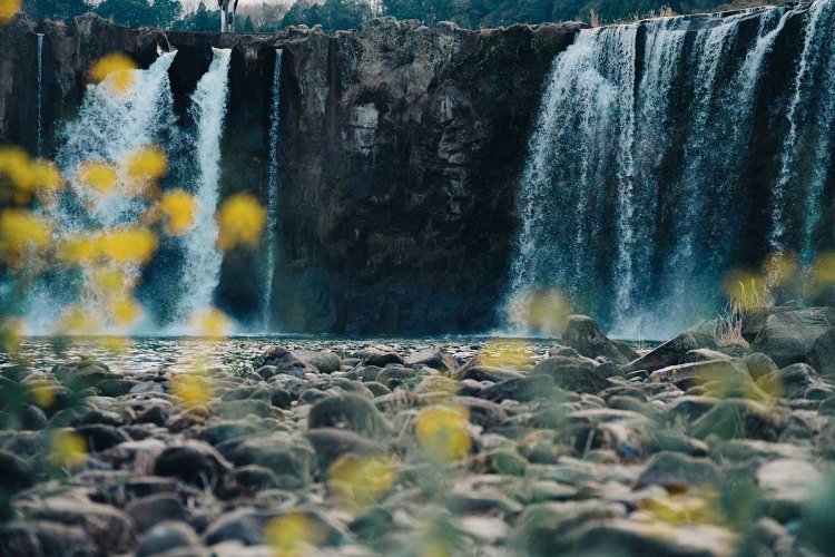 Sony α7RⅢ / Tamron 35-150mm F/2-2.8 Di III VXD