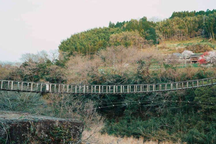 Sony α7RⅢ / Tamron 35-150mm F/2-2.8 Di III VXD