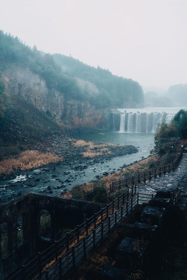 Sony α7RⅢ / Tamron 35-150mm F/2-2.8 Di III VXD