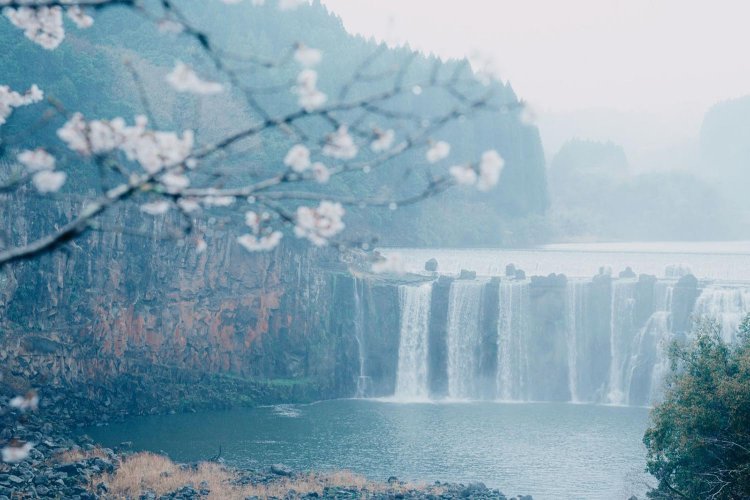 Sony α7RⅢ / Tamron 35-150mm F/2-2.8 Di III VXD