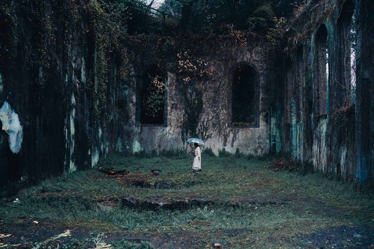 Sony α7RⅢ / Tamron 35-150mm F/2-2.8 Di III VXD