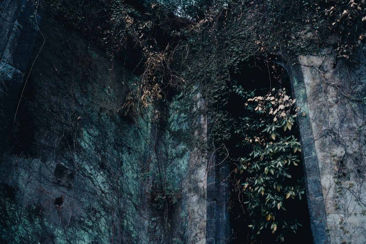 Sony α7RⅢ / Tamron 35-150mm F/2-2.8 Di III VXD