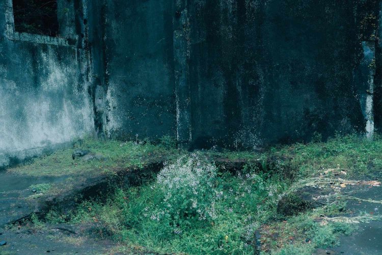 Sony α7RⅢ / Tamron 35-150mm F/2-2.8 Di III VXD