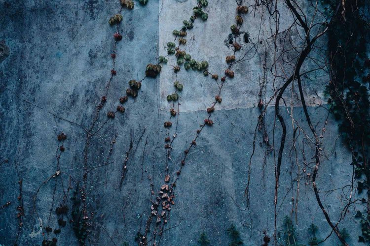 Sony α7RⅢ / Tamron 35-150mm F/2-2.8 Di III VXD