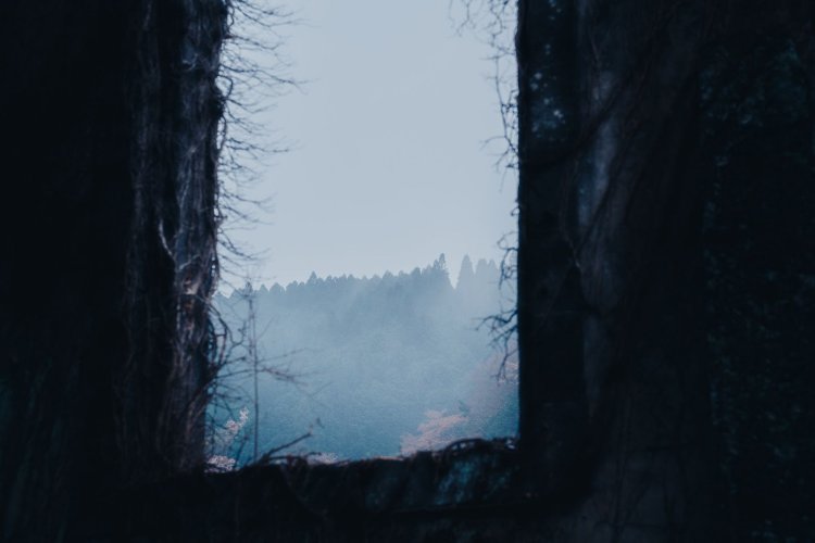 Sony α7RⅢ / Tamron 35-150mm F/2-2.8 Di III VXD