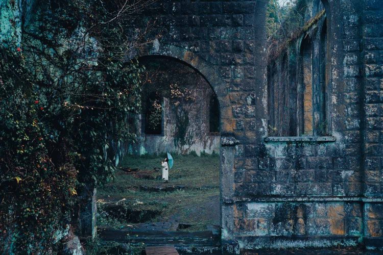 Sony α7RⅢ / Tamron 35-150mm F/2-2.8 Di III VXD