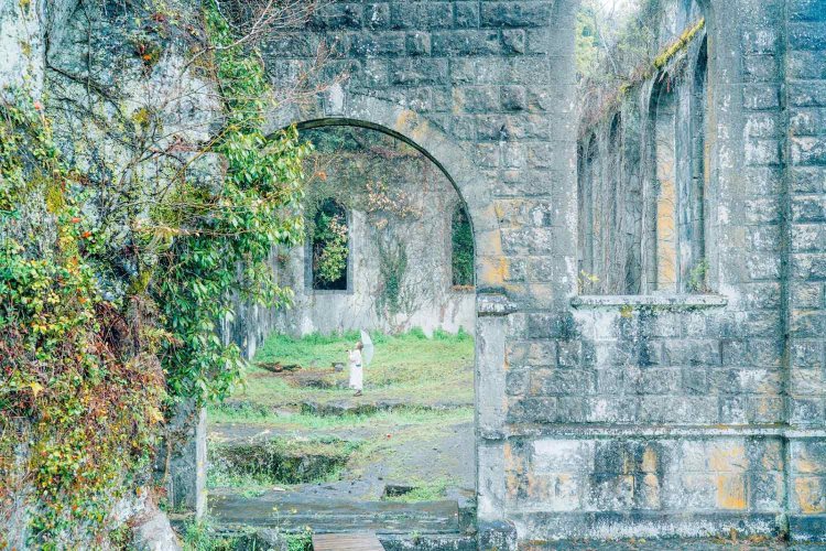 Sony α7RⅢ / Tamron 35-150mm F/2-2.8 Di III VXD