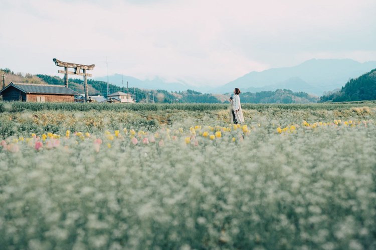 Sony α7RⅢ / Tamron 35-150mm F/2-2.8 Di III VXD